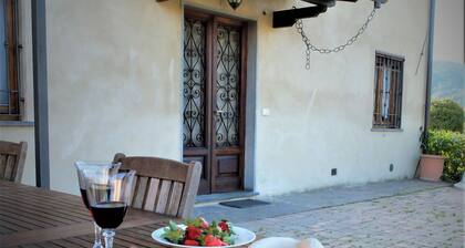 La Cheta - House in the hills with garden, between Lucca and the beaches of Viareggio