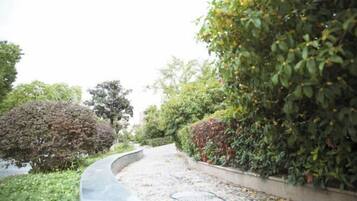 บริเวณที่พัก