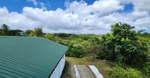 Property grounds - Coconut Retreat (Augier)