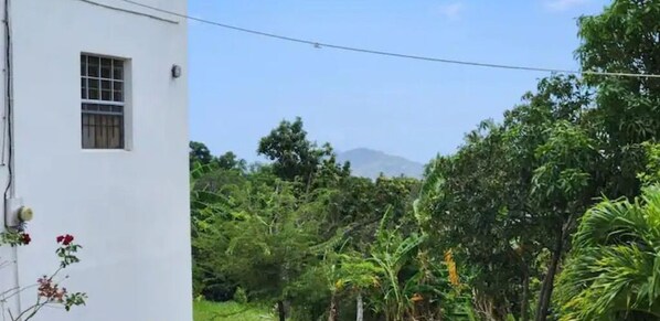 Property grounds - Coconut Retreat (Augier)