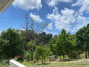 Property grounds - Coconut Retreat (Augier)