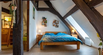Le Grand St Aignan - Appt centre ville de Chartres