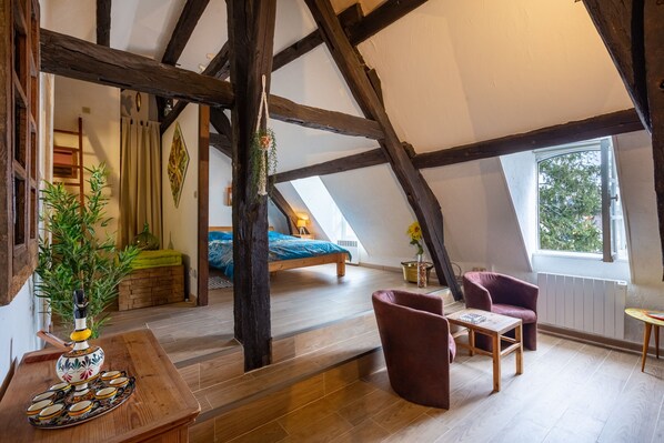 Iron/ironing board, free WiFi, bed sheets - Le Grand St Aignan - Appt centre ville de Chartres (Chartres)