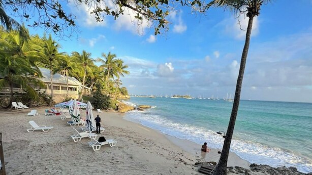A beach with white lounge chairs and umbrellas, palm trees, and a view of the ocean.