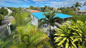 A residential area with a swimming pool, surrounded by lush greenery and palm trees.