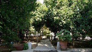 A stone pathway leading to a seating area with a table and chairs, surrounded by lush greenery and potted plants. - Giannakis Filoxenia (Naxos)