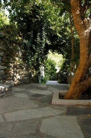 A stone pathway leading through a garden with a tree on the right and a stone wall on the left.