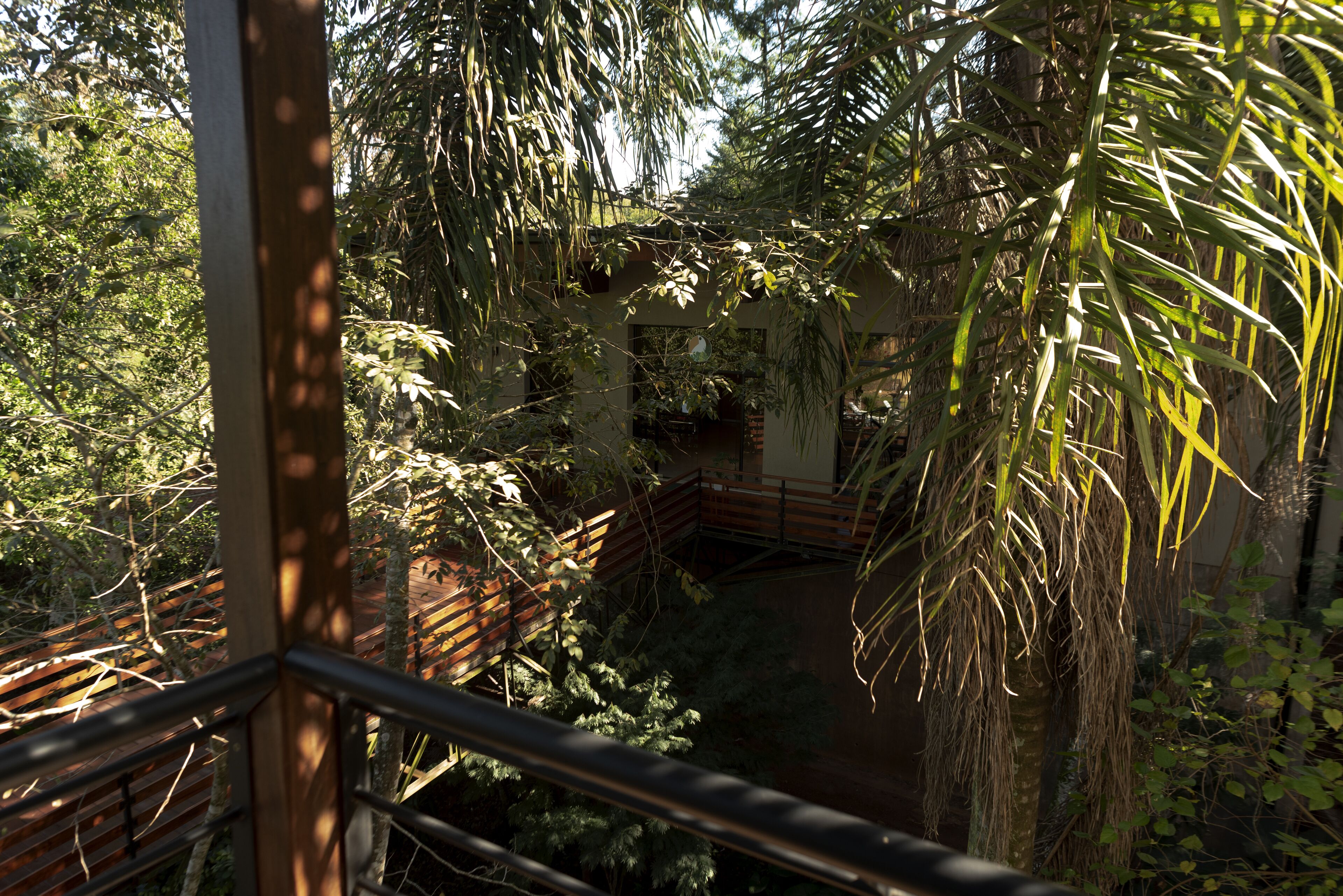 Photo - Tekoa Lodge de Selva