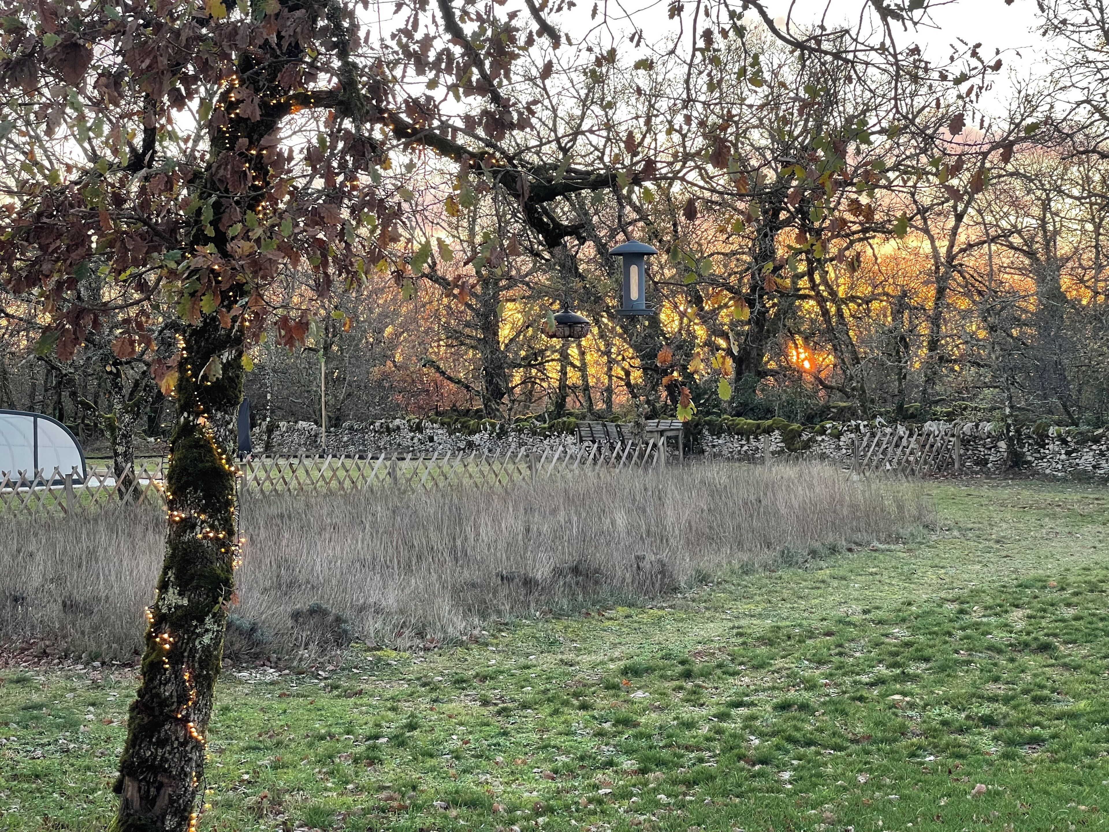 A park with a tree adorned with lights, a stone wall, and a bench.