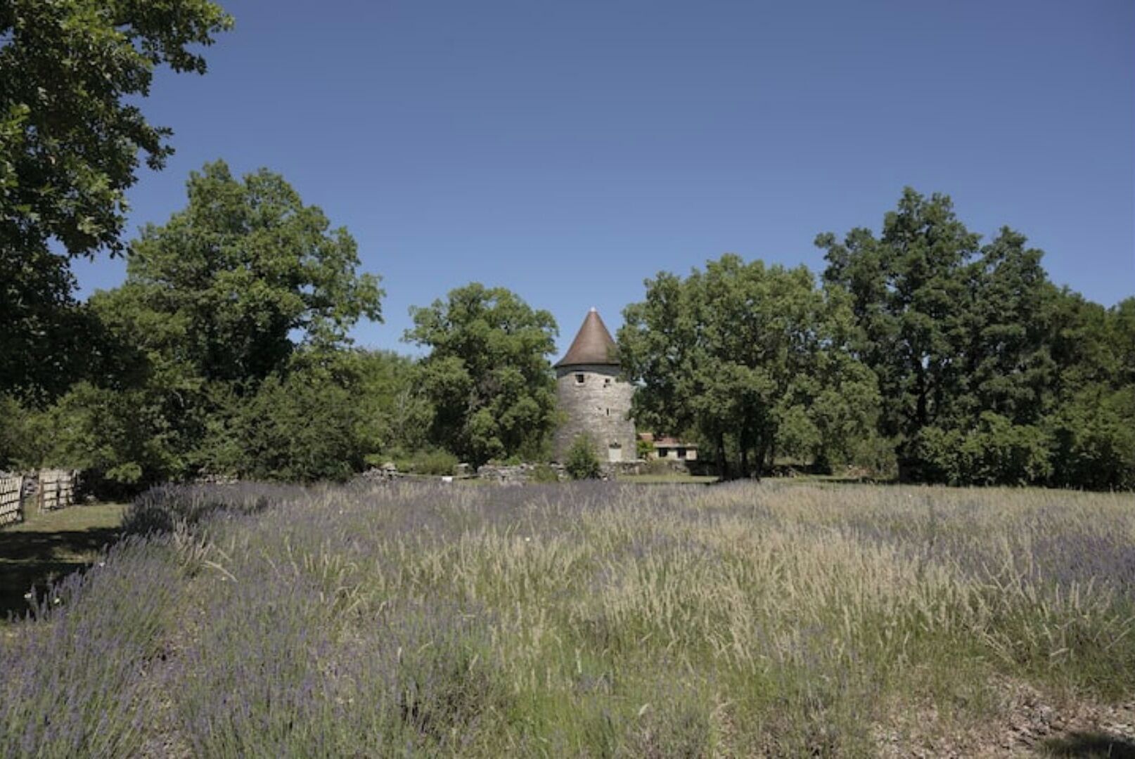 Uma torre histórica rodeada por árvores e um campo de lavanda.
