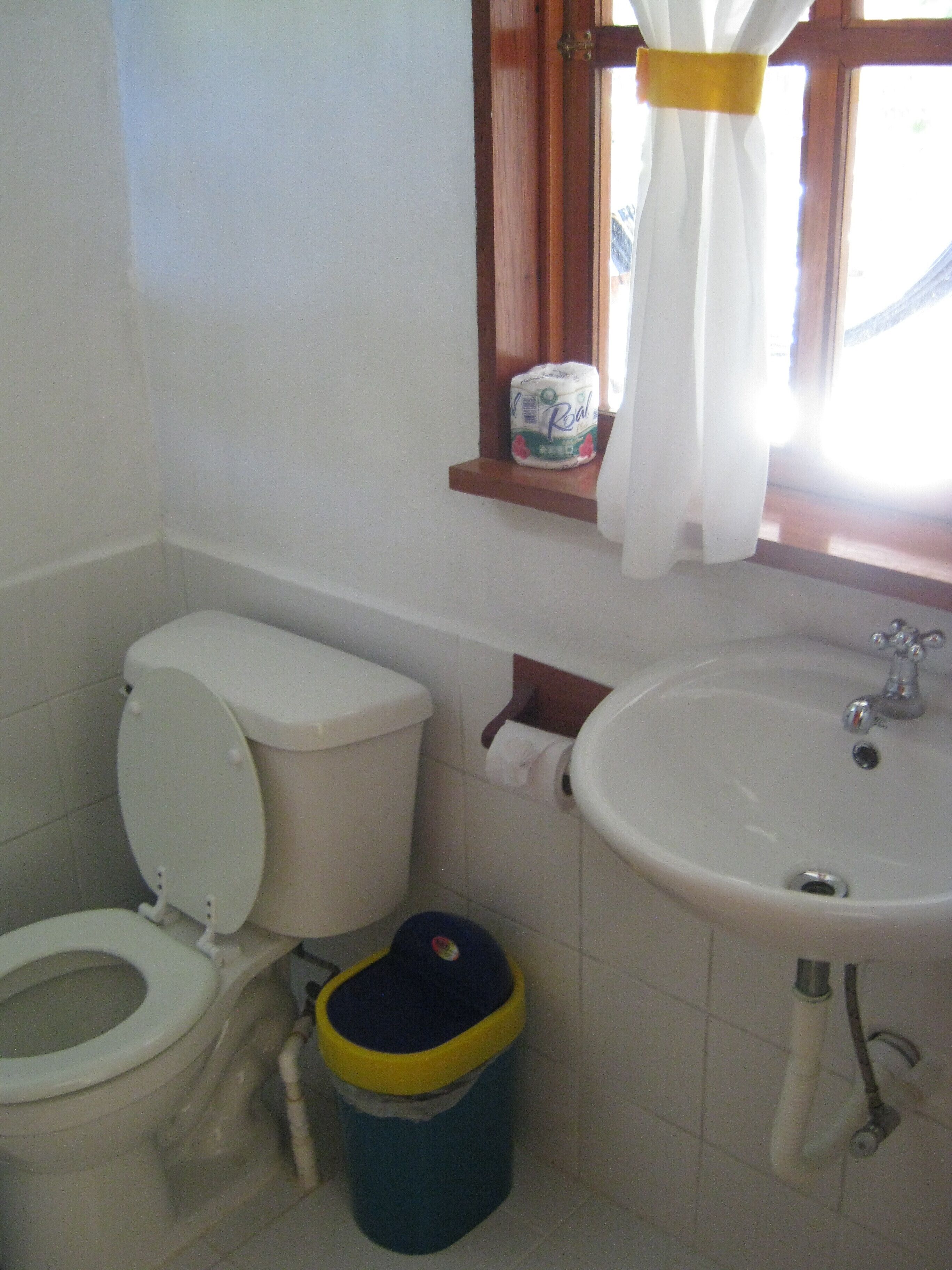 Een badkamer met toilet, wastafel en een raam met gordijnen.