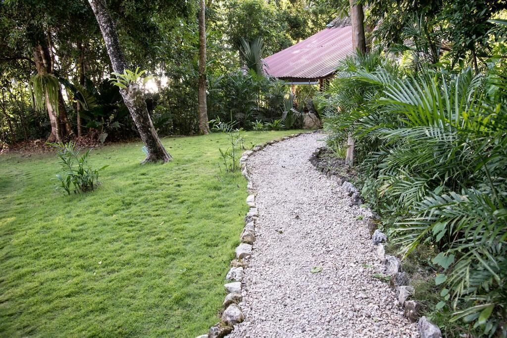 Un sendero de grava serpentea por un exuberante jardín, con una construcción rústica al fondo.