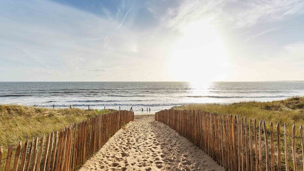 A sandy beach path leading to the ocean with wooden fences on either side.