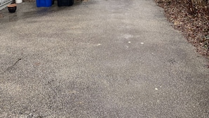 A narrow driveway leading to a light green building with a white window frame. There are two trash bins, one blue and one black, and a white bucket on the ground.