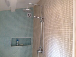 Shower, towels, toilet paper