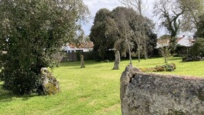 A grassy area with several standing stones and a large rock formation.