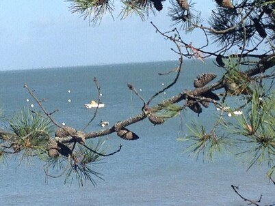 Town center house on large 2000 m2 garden 700 meters from the beach