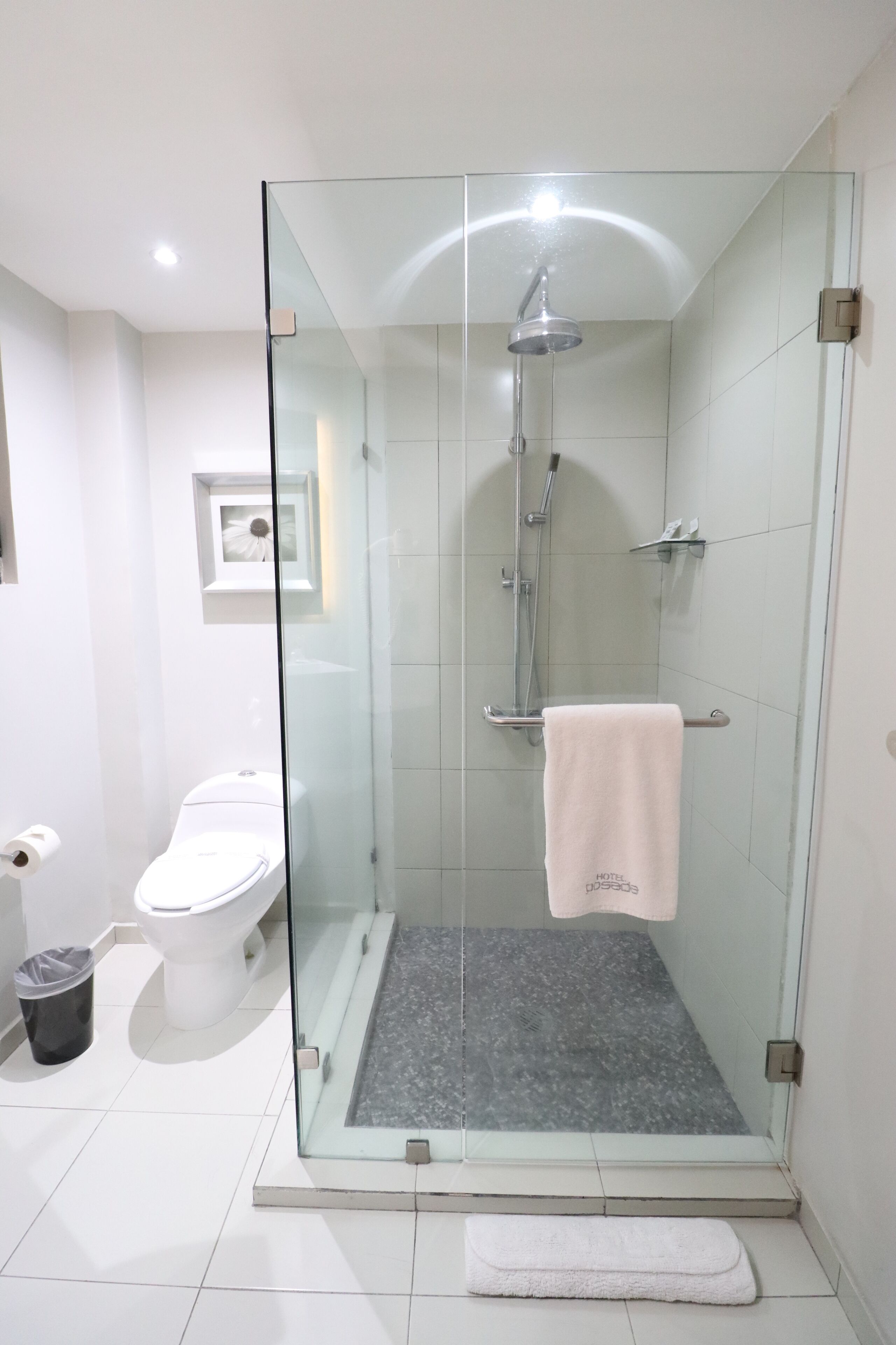 Un baño moderno con ducha de vidrio, inodoro y lavamanos.