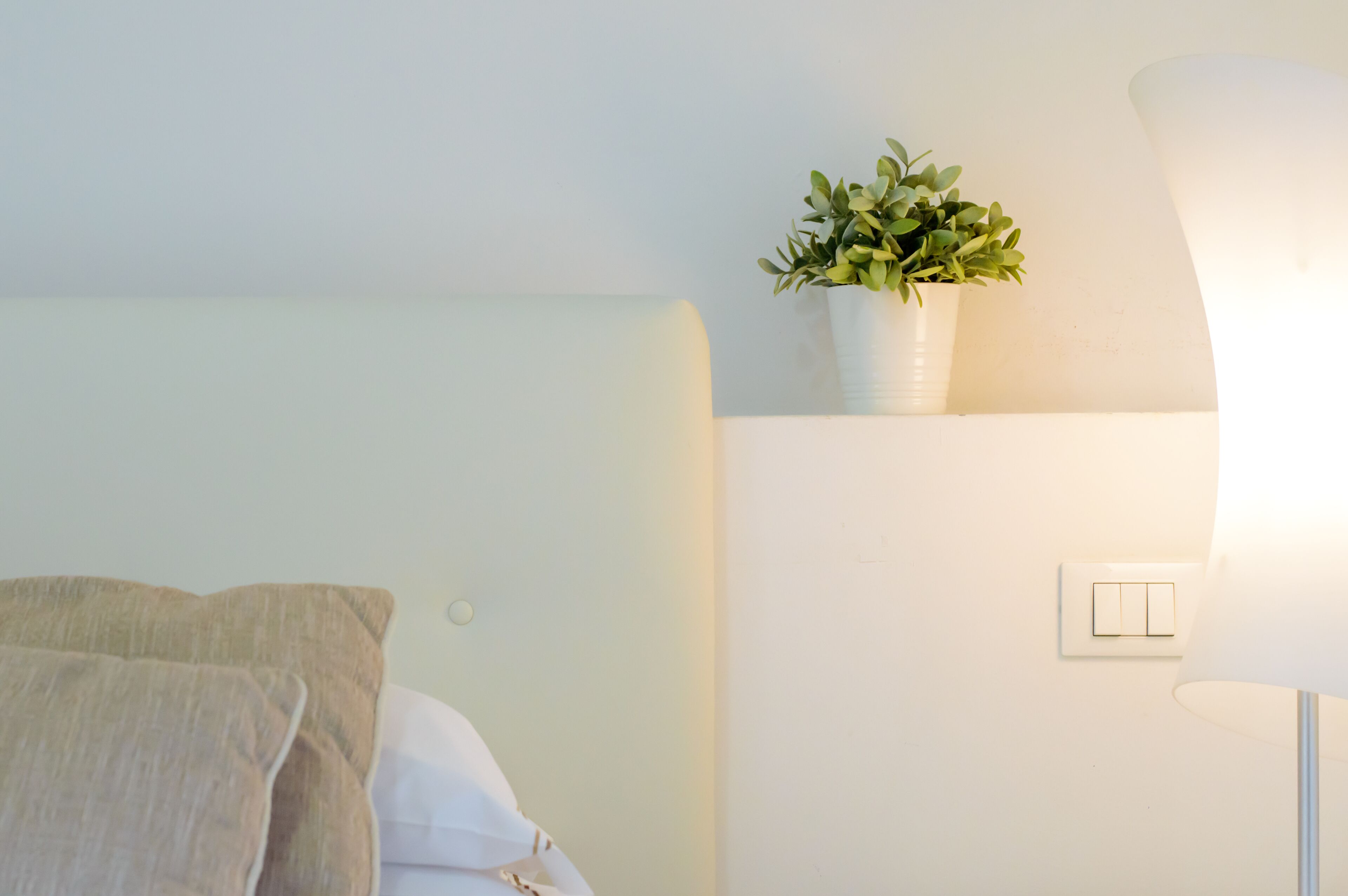 Foto - Homelink Firenze - Charlotte