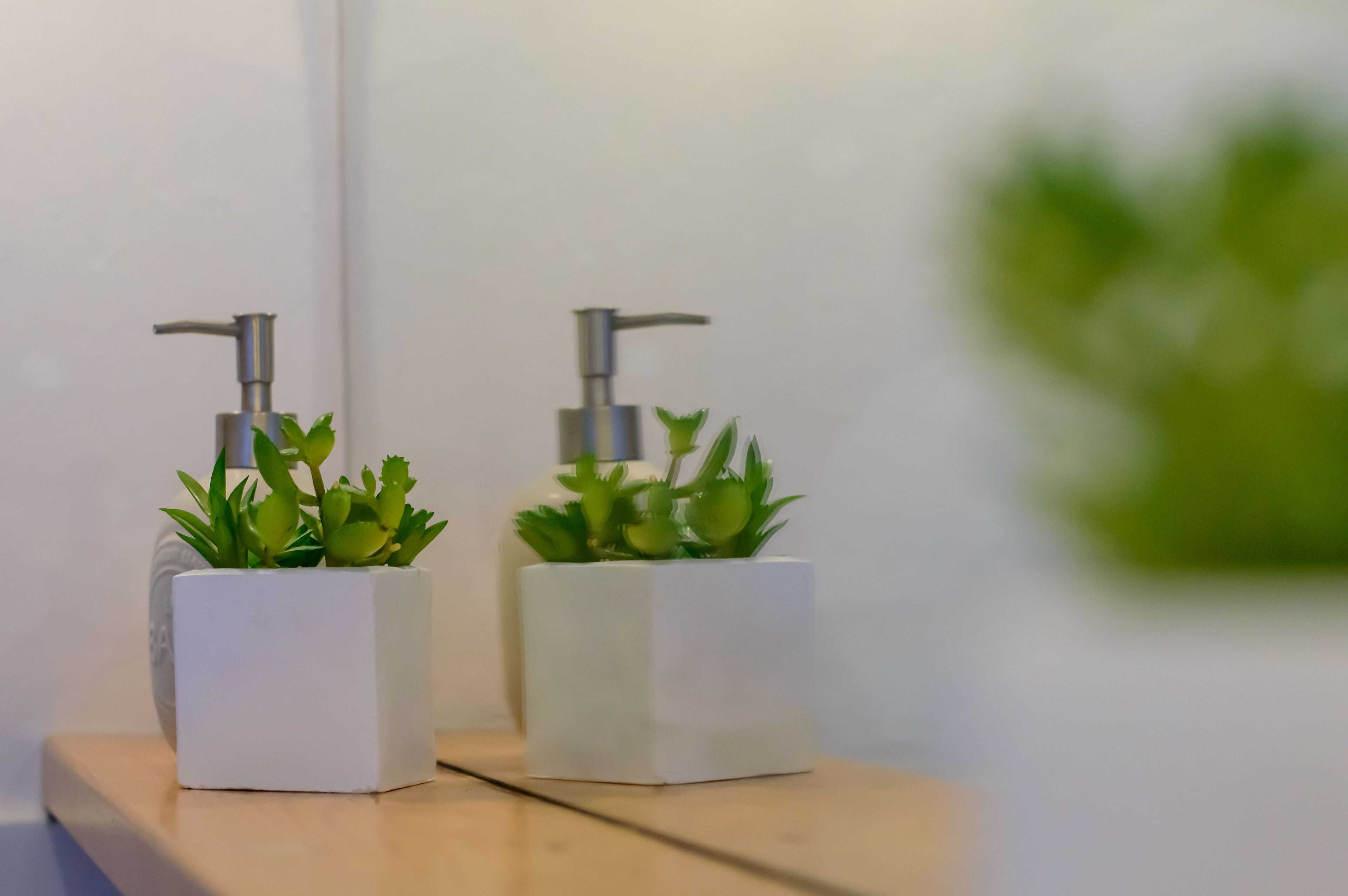 Foto - Homelink Firenze - Charlotte