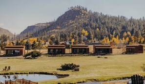 Photo non classée, 3 sur 25, bouton