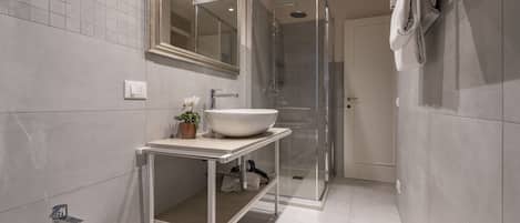 Shower, hair dryer, bidet, towels