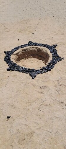 Beautiful Stars & Moon view