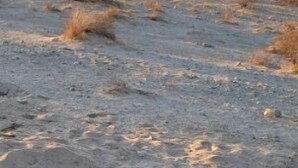 منوع