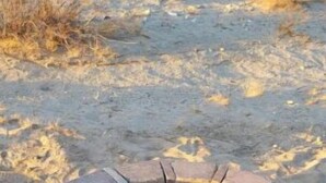 منوع