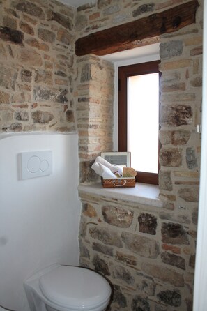 Shower, hair dryer, bidet, towels