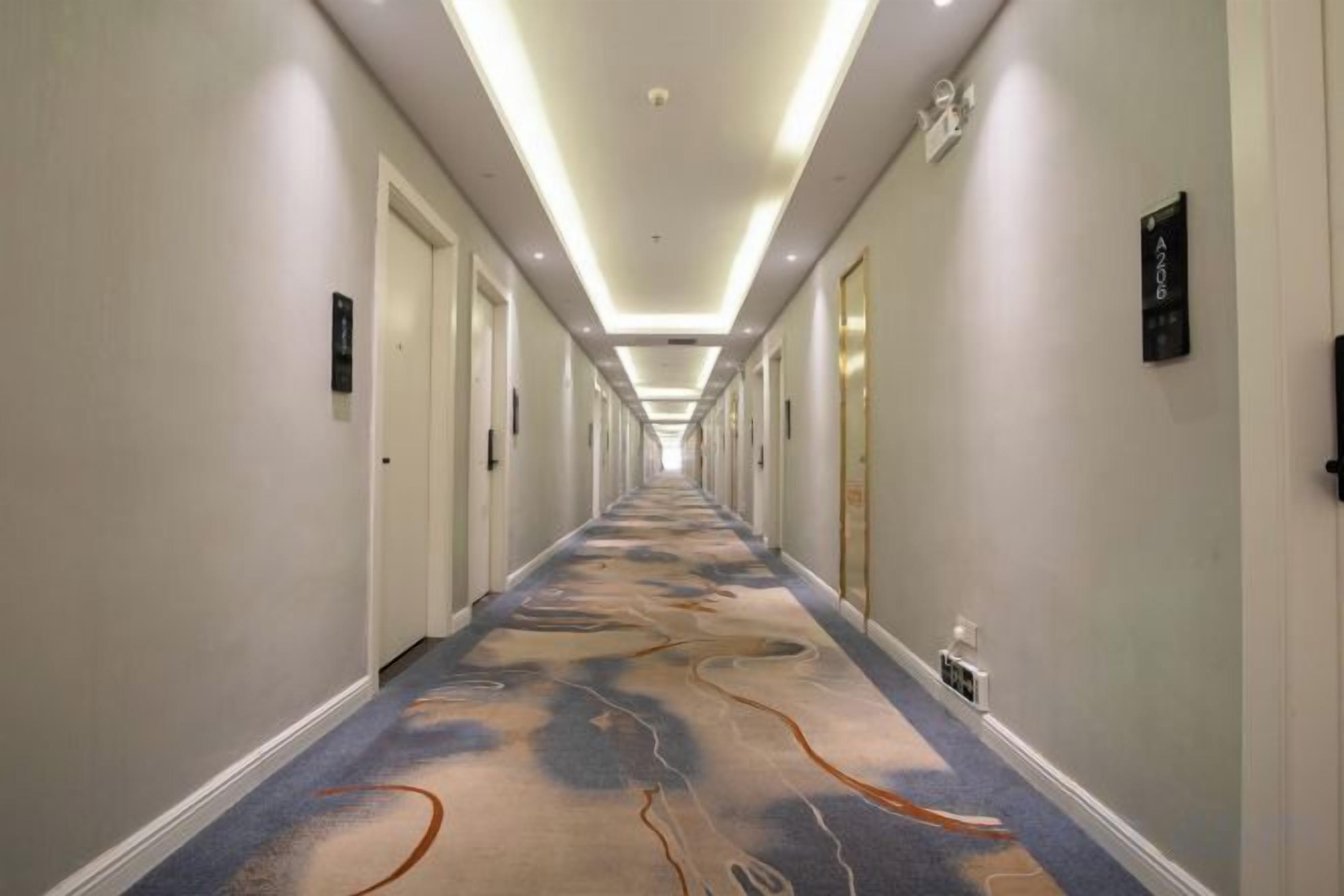 A hotel hallway with a carpeted floor, doors on both sides, and a ceiling light fixture.