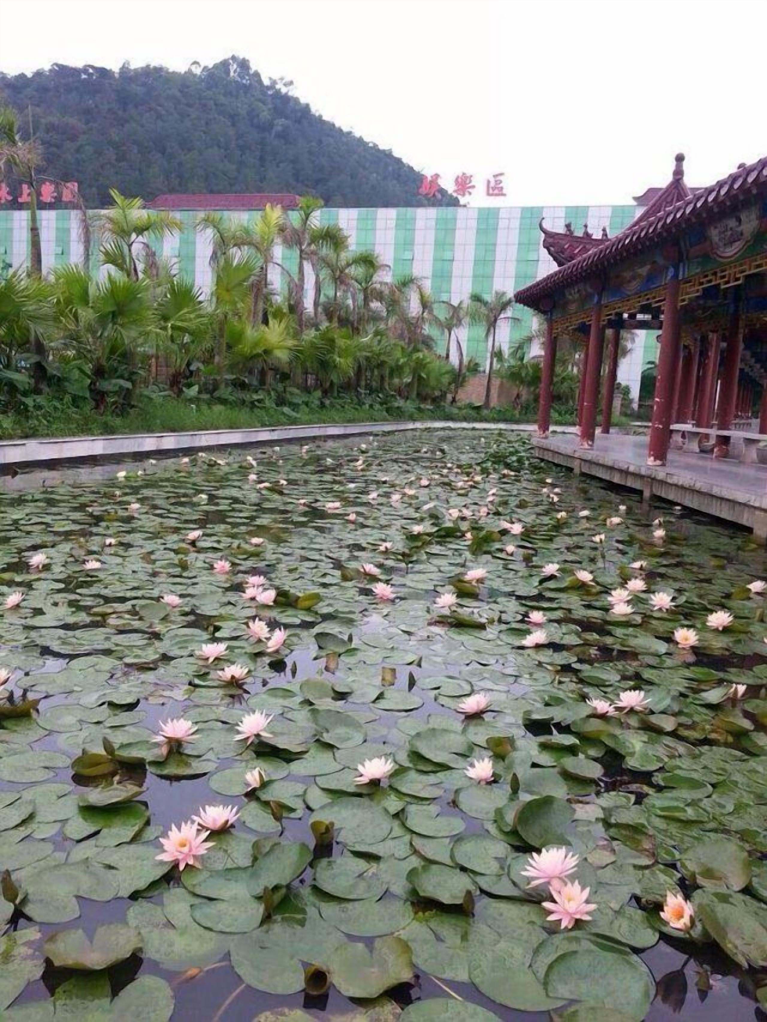 숙박 시설 구내