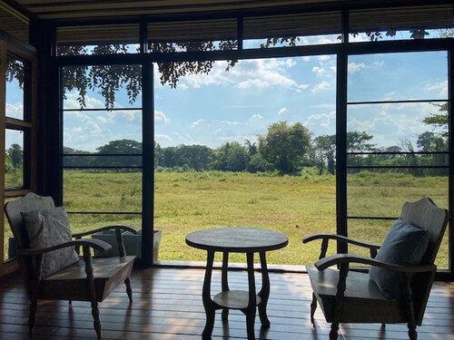 House Surrounded by Nature