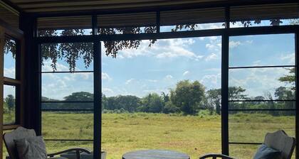 House Surrounded by Nature