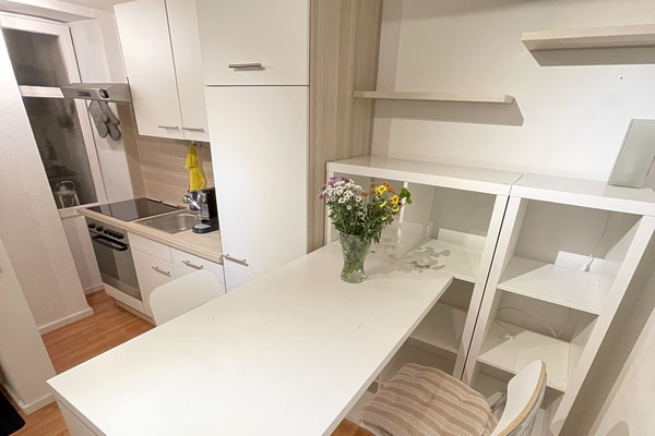 Kühlschrank, Ofen, Herdplatte, Geschirrspüler