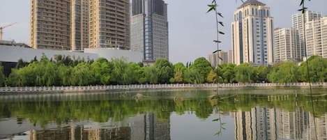 Ein Gewässer spiegelt hohe Gebäude wider, ein von Bäumen gesäumter Weg schlängelt sich entlang, und der Himmel ist klar.