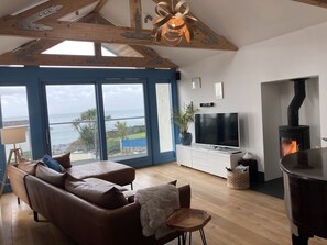 Smart TV, fireplace, books, computer monitors