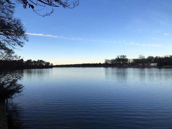 Un lago tranquilo con cielo despejado, rodeado de árboles y algunos edificios a lo lejos.