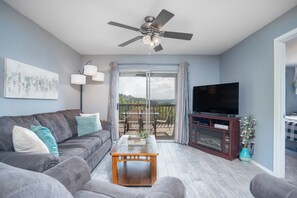 TV, fireplace, DVD player