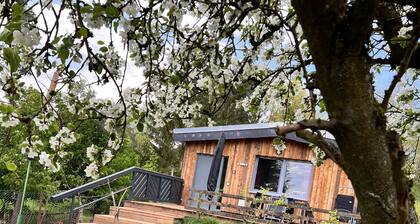 Ferienhaus II Zittertal Neustadt Harz mit großem eingezäunten Garten