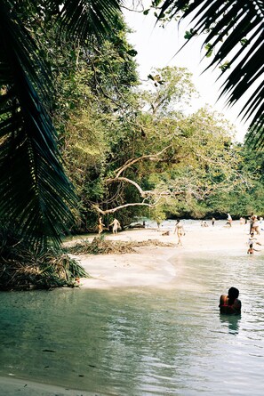 Strand