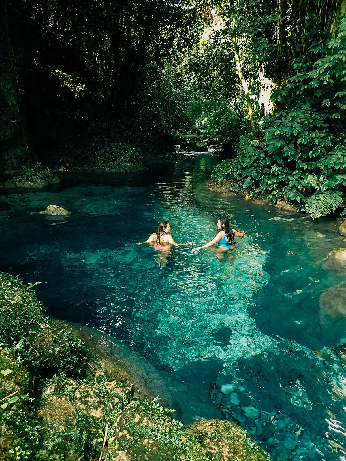 A natural pool surrounded by dense foliage, with clear water and rocks.