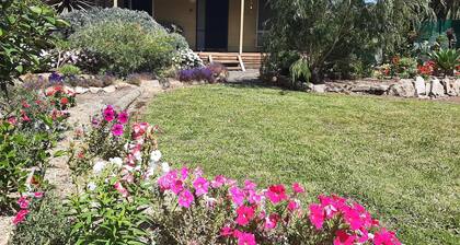 Coola cottage amongst a koala corridor