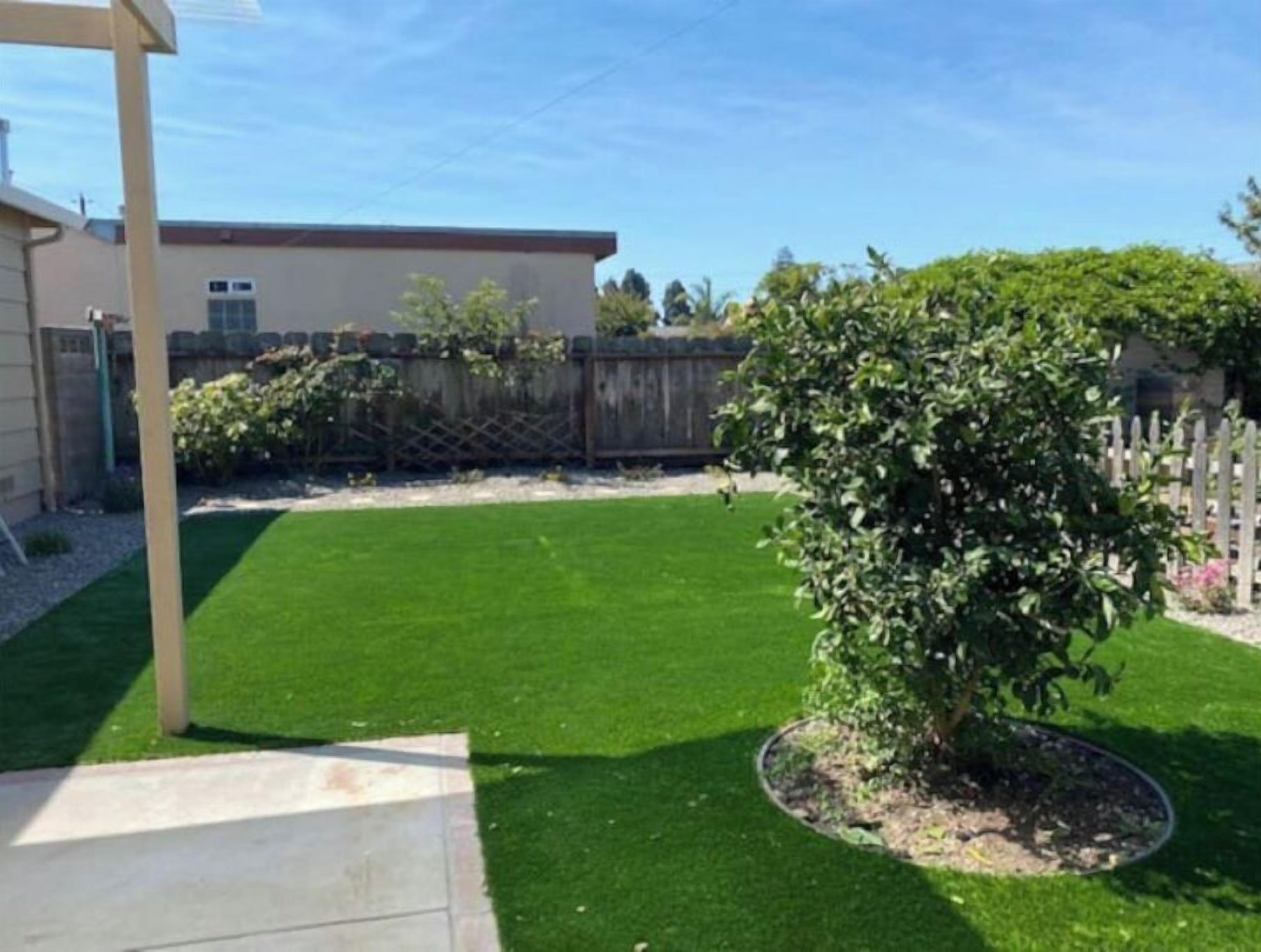 Un patio trasero con un césped cuidado, una valla de madera y un árbol en maceta.