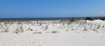 "MINT TO SEA" New Beach Cottage with porch views - 900 ft from the beach!