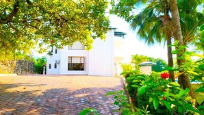 Un edificio blanco con un patio empedrado, rodeado de exuberante vegetación y una palmera.