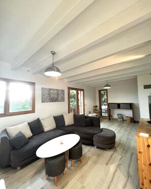 TV connectée, cheminée, livres