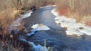 A river with ice formations, surrounded by trees and shrubs. - Tranquil Riverside Lodge (Wade)