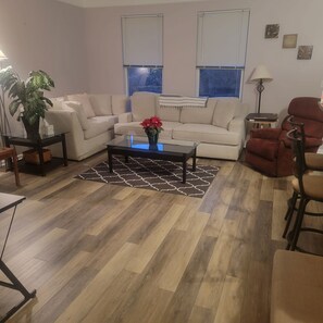 Smart TV, fireplace, books, computer monitors