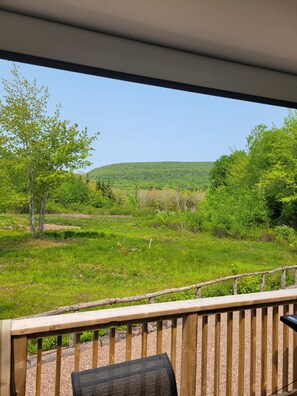 Property grounds - Aberdeen Hillview Retreat  (Aberdeen)